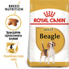 Royal Canin BHN Beagle Adult 12kg Karma Sucha Dla Psów Dorosłych Rasy Beagle