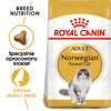 Royal Canin FBN Norvegian Forest Cat Adult 2kg Karma Sucha Dla Kotów Dorosłych Rasy Norweski Leśny
