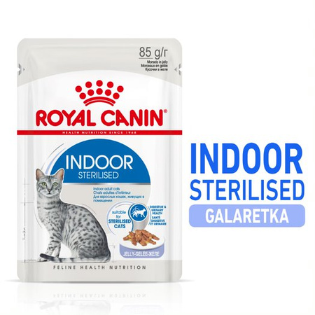 Royal Canin Indoor Sterilised w Sosie i Galaretce 6x85g Karma Mokra Dla Kotów Sterylizowanych Niewychodzących