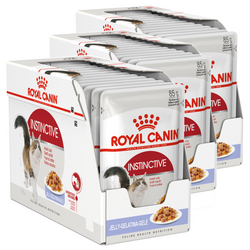 Royal Canin Instinctive FHN Karma Mokra W Galaretce Dla Kotów Dorosłych Wybrednych 36x85g
