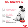 Royal Canin Mother&Babycat Instinctive Mousse 12x195g Karma Mokra Mus Dla Kotek W Okresie Ciąży Laktacji i Kociąt
