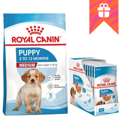 Royal Canin SHN Medium Puppy 15kg Karma Sucha + GRATIS 10x140g Mokra w Sosie Dla Szczeniąt Od 2 Do 12 Miesiąca Ras Średnich
