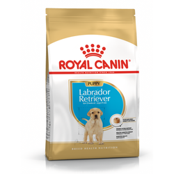 Royal Canin BHN Labrador Retriever Puppy 12kg Karma Sucha Dla Szczeniąt Do 15 Miesiąca Rasy Labrador Retriever