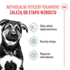 Royal Canin Maxi Puppy 15kg Karma Sucha Dla Szczeniąt Od 2 Do 15 Miesiąca Życia Ras Dużych
