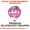 Royal Canin CCN Medium Relax Care 3kg Karma Sucha Dla Psów Dorosłych Ras Średnich Narażonych Na Działanie Stresu