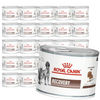 Royal Canin Veterinary VHN Recovery Mousse 24x195g Mokra Karma Mus Dla Psów i Kotów Rekonwalescencja
