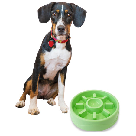 Miska Spowalniająca Jedzenie Dla Psa Kota Zielona