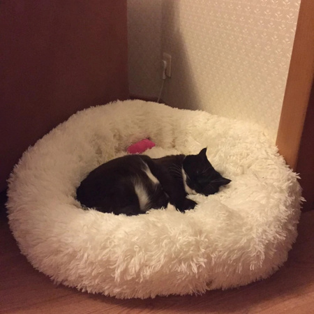 Legowisko Dla Psa I Kota Pluszowe 3XL 110cm Ciepłe Białe