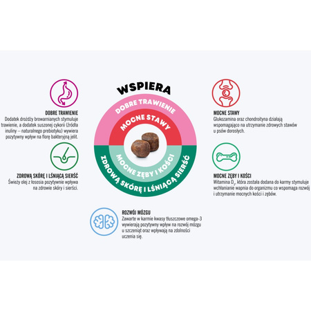 John Dog Good Form Sucha Karma Dla Szczeniąt Cielęcina Z Jagnięciną 12kg