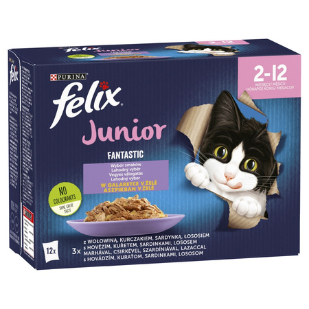 Felix Fantastic Junior Karma Dla Kociąt Wybór Smaków W Galaretce 6,12kg (72x85g) Wołowina Kurczak Sardynka Łosoś