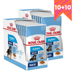 Royal Canin Maxi Puppy 20x140g Karma Mokra W Sosie Dla Szczeniąt Do 15 Miesiąca Życia Ras Dużych 10+10 GRATIS
