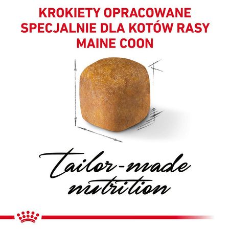 Royal Canin FBN Maine Coon Kitten 2kg Karma Sucha Dla Kociąt Do 15 Miesiąca Rasy Maine Coon