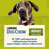 Purina Dog Chow Large Breed Adult 14kg Sucha Karma Dla Psów Dużych Ras z Indykiem