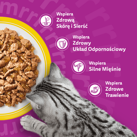 Whiskas Adult 160x85g Mokra Karma Dla Dorosłego Kota Drobiowa Uczta Rybne Przysmaki w Galaretce