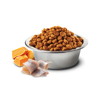 Farmina N&D Ocean Codfish Adult Mini 2,5kg Sucha Karma Dla Dorosłych Psów Małych Ras Z Dorszem Dynią I Pomarańczą