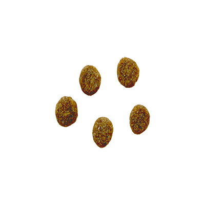 Bozita Robur Sensitive Grain Free Chicken 3,2kg