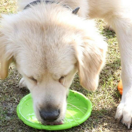Frisbee Gumowa Zabawka Dla Psa Latający Dysk Kolor Zielony Średnica 18cm