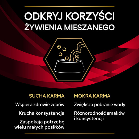 Purina Pro Plan Veterinary Diets DM Diabetes Management Mokra Karma Dla Kota 10x85g Redukcja Glukozy