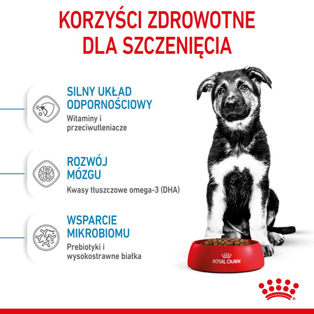 Royal Canin Maxi Puppy 15kg Karma Sucha Dla Szczeniąt Ras Dużych + Szampon VetExpert 250ml