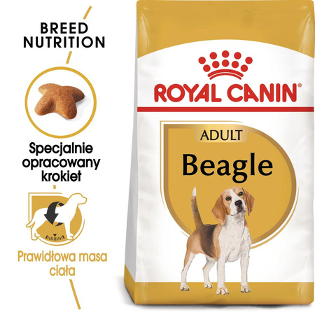 Royal Canin BHN Beagle Adult 12kg Karma Sucha Dla Psów Dorosłych Rasy Beagle