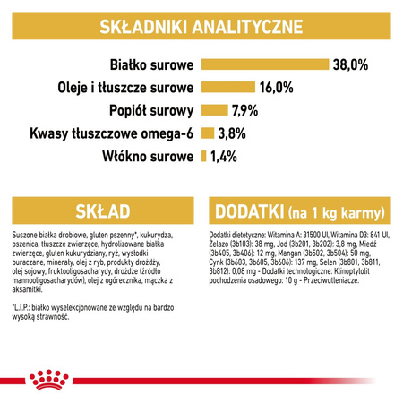Royal Canin FBN Siamese Adult 400g Karma Sucha Dla Kotów Dorosłych Rasy Syjamskiej