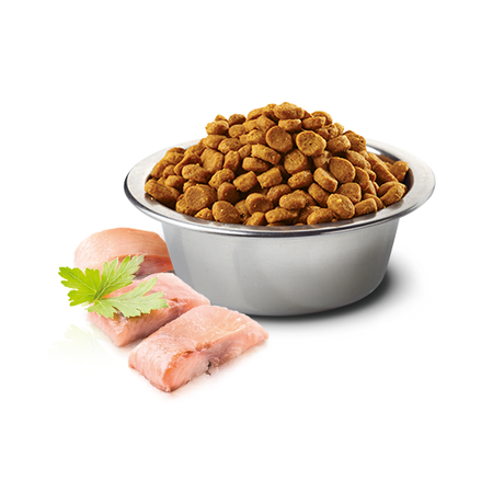 Farmina N&D Cat Ocean Herring Orange Adult 5kg Sucha Karma Dla Kota Śledź z Pomarańczą