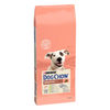 Purina Dog Chow Sensitive Adult 14kg Sucha Karma Dla Psa z Łososiem