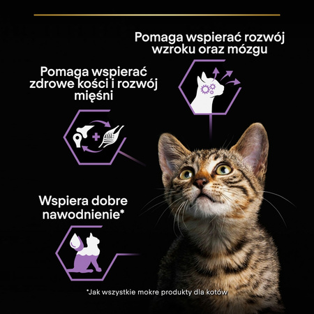 Purina Pro Plan Kitten Healthy Start 24x85g Mokra Karma Dla Kociąt Mus z Kurczakiem