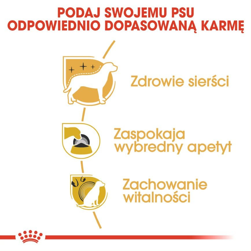 Karma Sucha Dla Psów Dorosłych Rasy Yorkshire Terrier Do 8 Roku Życiar