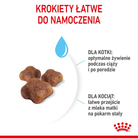 Royal Canin Mother&babycat 2kg Karma Sucha Dla Kotek W Okresie Ciąży, Laktacji I Kociąt