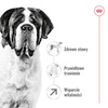 Royal Canin Giant Adult 15kg Karma Sucha Dla Psów Dorosłych Od 18/24 Miesiąca Życia Ras Olbrzymich