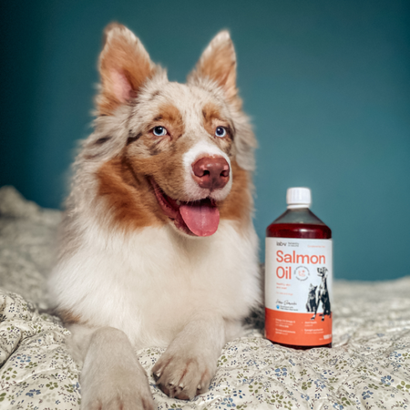 LAB-V Olej Z Łososia 100% Dla Psa I Kota 1L Na Skórę Sierść I Alergie