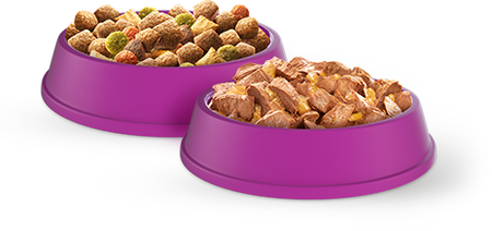 Sucha Karma Whiskas Adult 14kg Dla Kotów Z Kurczakiem I Warzywami