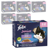 Felix Fantastic Junior Karma Dla Kociąt Wybór Smaków W Galaretce 6,12kg (72x85g) Wołowina Kurczak Sardynka Łosoś