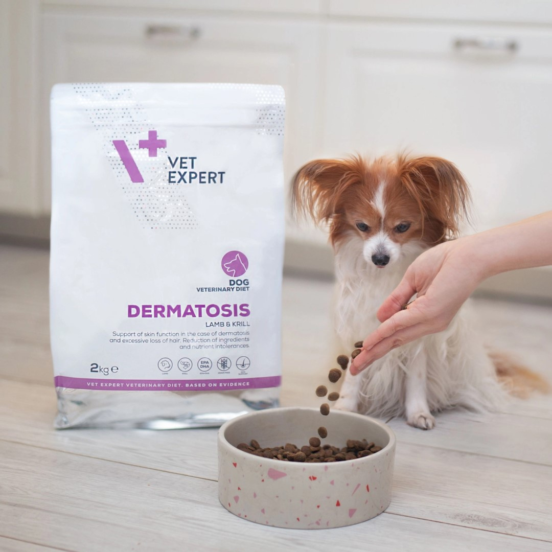 VetExpert Veterinary Diet Dermatosis Karma Weterynaryjna