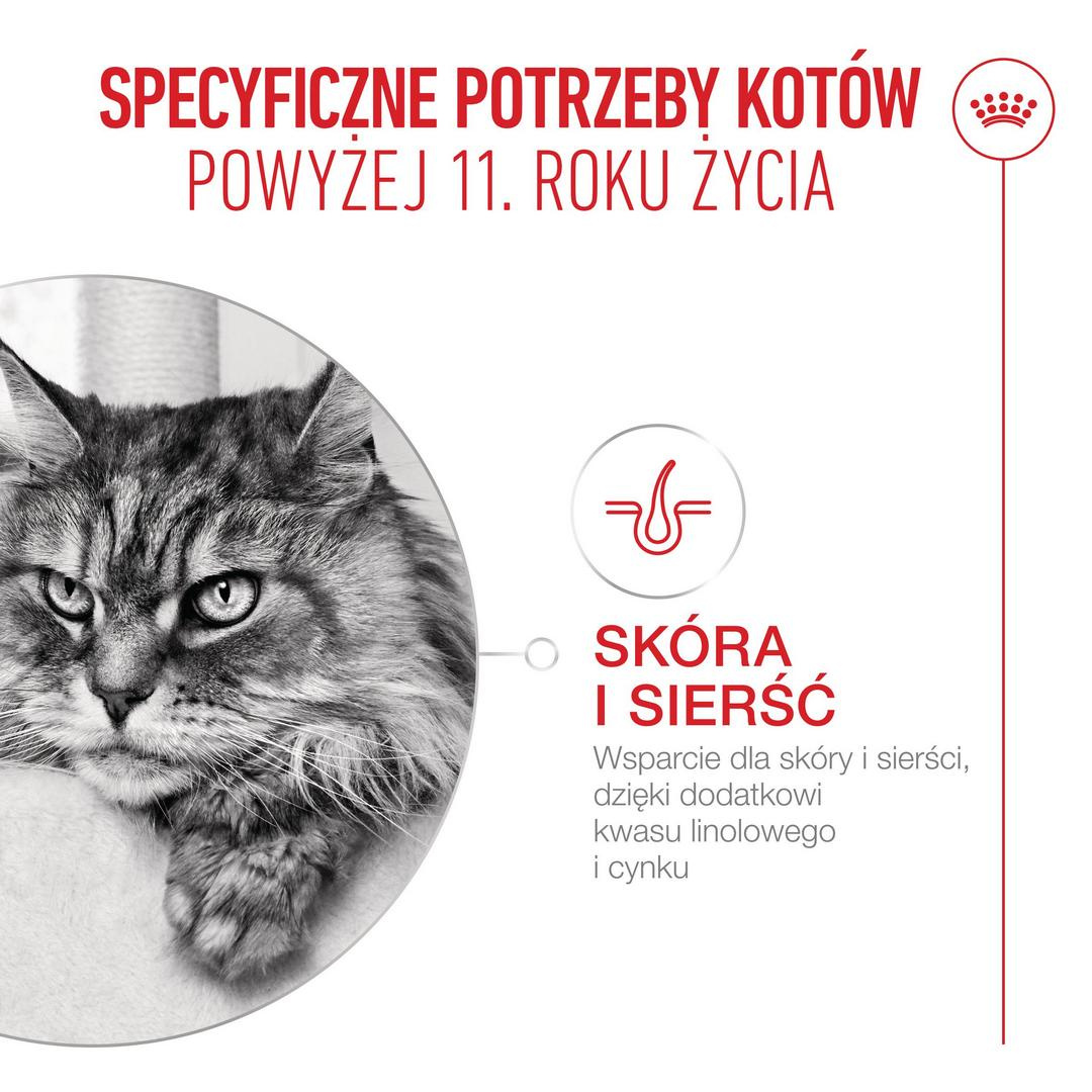 Sucha karma ROYAL CANIN® AGEING 11+ opracowana została specjalnie dla kotów w wieku powyżej 11 lat.