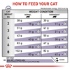 Royal Canin Veterinary Neutered Satiety Balance S/O 12kg Sucha Karma Dla Dorosłych Kotów Po Sterylizacji