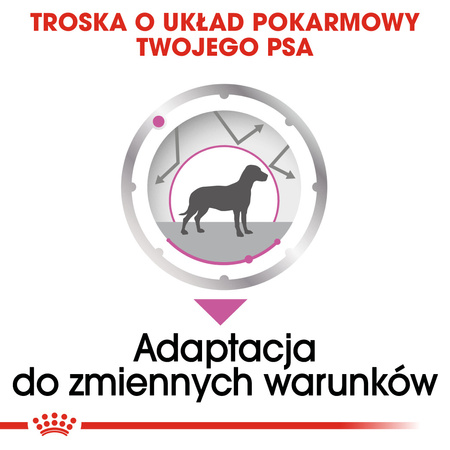 Royal Canin CCN Relax Care 85g Karma Mokra Pasztet Dla Psów Dorosłych Narażonych Na Działanie Stresu