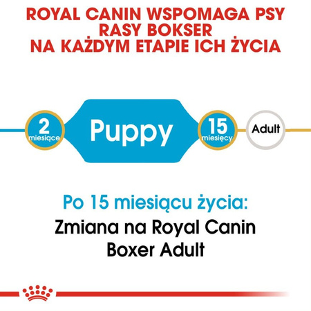 Royal Canin Puppy Boxer Sucha Karma Dla Szczeniąt 12kg + Mokra W Sosie 12x85g