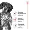Royal Canin Medium Ageing 10+ 15kg Sucha Karma dla Psów Dojrzałych Powyżej 10 Roku Życia Średnich Ras