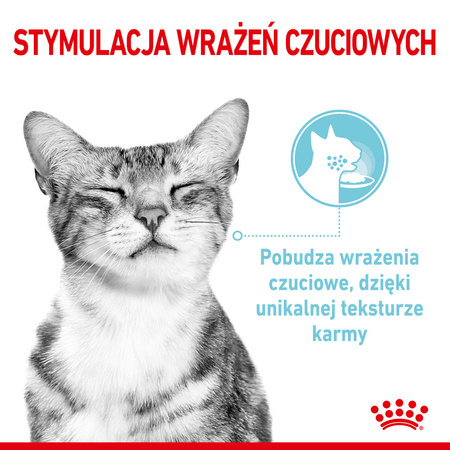 Royal Canin FHN Sensory Feel 12x85g Karma Mokra Kawałki W Sosie Dla Kotów Dorosłych Pobudzająca Percepcje Tekstur