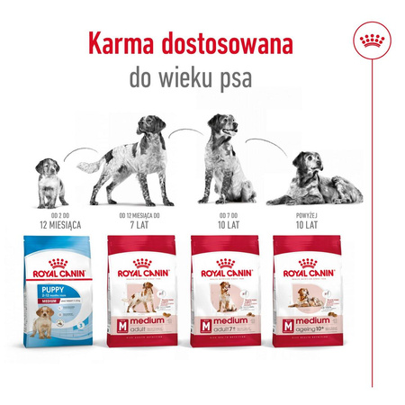 Royal Canin Medium Adult 7+ Lat 15kg Karma Sucha Dla Psów Starszych Od 7 Do 10 Roku Życia Ras Średnich