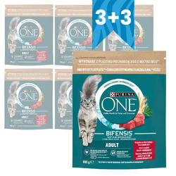Purina One Bifensis Adult 6x800g Sucha Karma Dla Kota z Wołowiną
