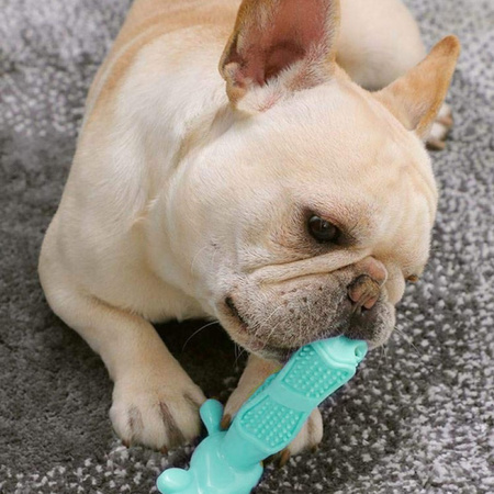 Gryzak Zabawka Dentystyczna Do Zębów Dla Psa L Kolor Turkusowy