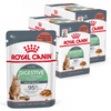 Royal Canin Digest Sensitive 24x85g Mokra Karma Dla Kotów Dorosłych W Sosie Na Wrażliwy Przewód Pokarmowy