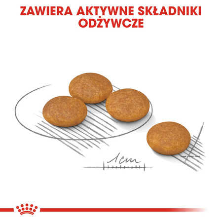 Royal Canin CCN Mini Dermacomfort 1kg Karma Sucha Dla Psów Dorosłych Ras Małych O Wrażliwej Skórze Skłonnej Do Podrażnień