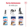 Royal Canin Maxi Adult 140g Karma Mokra W Sosie Dla Psów Dorosłych Ras Dużych