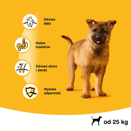 PEDIGREE Vital Protection 15kg Junior Duże Rasy Bogaty w Kurczaka, z Ryżem Karma Sucha dla szczeniąt