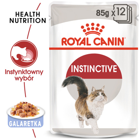 Royal Canin Instinctive FHN 6x85g Karma Mokra W Galaretce Dla Kotów Dorosłych Wybrednych