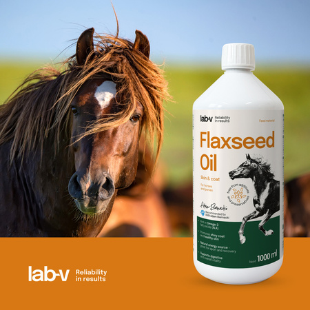LAB-V Olej Lniany Naturalny Suplement Dla Konia 1000ml Wsparcie Odporności Poprawa Trawienia Zdrowa Skóra